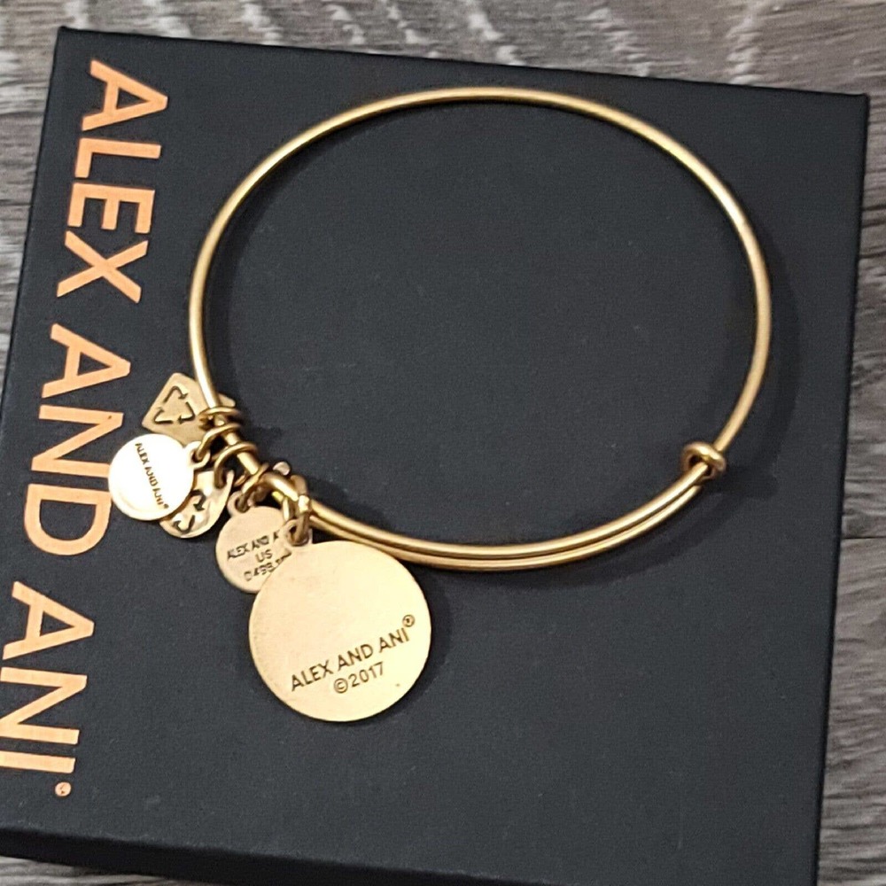 Alex and Ani Completely Blessed Charm Bracelet Positive Faith Gratitude - Picture 7 of 10